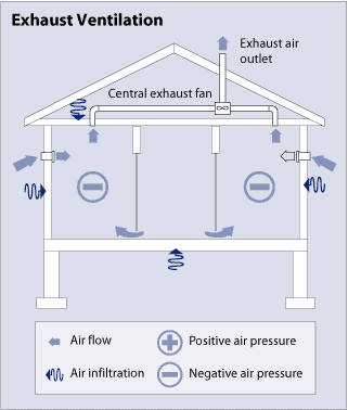 Mould Removal Perth