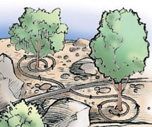 install-drip-irrigation-SDS54b