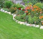 lawn-restoration-care