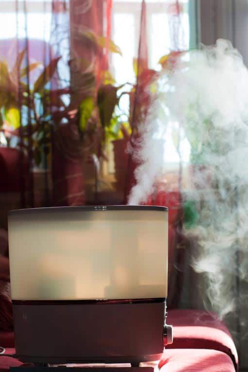 Steam-mist humidifier emits a fine, moist mist into room air.
