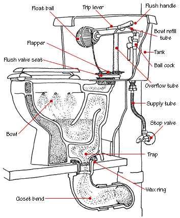 Cut-away drawing of a toilet plumbing system, including internal parts and water supply. 