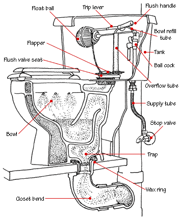 toilet parts diagram 2