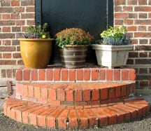 How to Plant a Container Garden