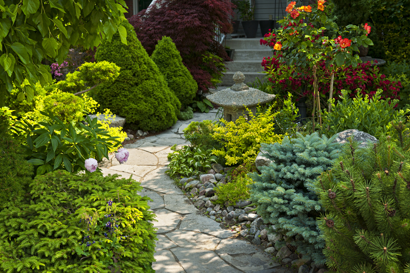 A stone walkway winding through a lush front yard garden. 