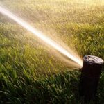 pop-up sprinkler head