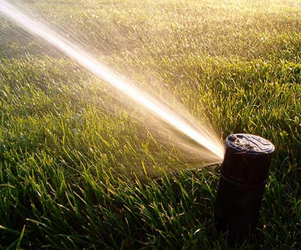 pop-up sprinkler head