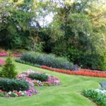 lawns and flowers