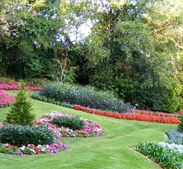 lawns and flowers