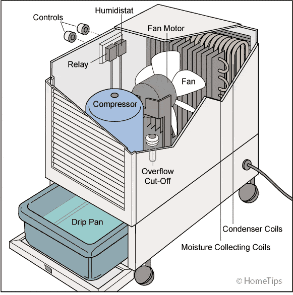 Cut-away diagram of a dehumidifier including internal and external parts.