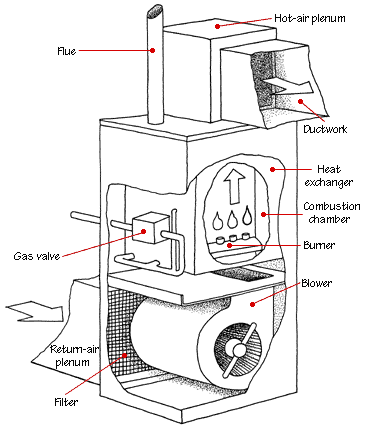 Cut-away diagram of a furnace's internal and external parts, including filter, blower, and heat exchanger.