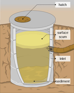 septic tank diagram