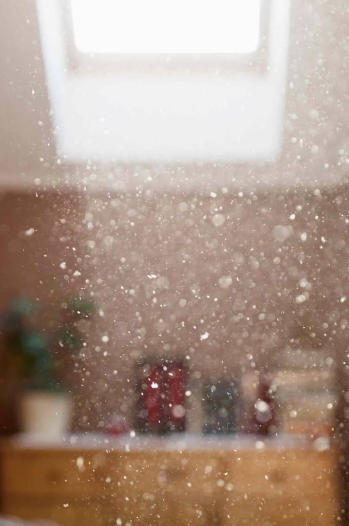 Sunshine streaming into a home reveals the dust and allergens in the air.