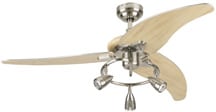 ceiling fan