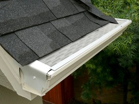 Mesh guard on top of a house’s white roof gutter.