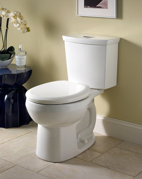 dual flush toilet