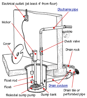 What is a Sump Pump, and Why Would a Home Need One? - Neighborhood