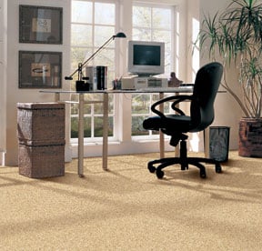 carpet in home office