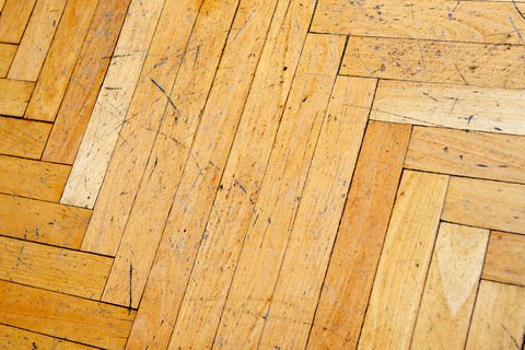 How To Repair Hardwood Flooring Hometips, Protect Hardwood Floors From Plants