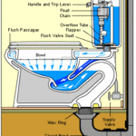 Toilet Plumbing Diagram