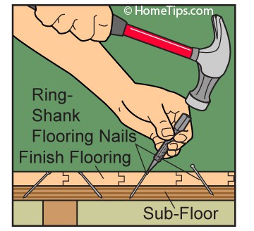 8 Sound Proofing Secrets For A Quieter Home Fix Floor Squeaks