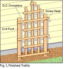 building a garden trellis