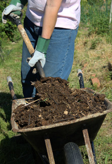 composting