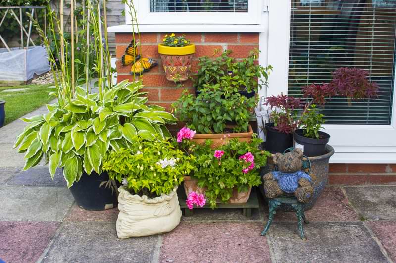 A container garden of potted plants outside a patio door.