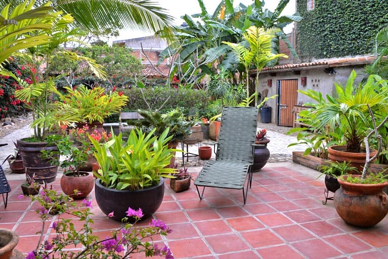 Tropical container garden flourishes on this Saltillo tile patio. 