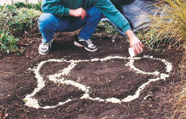 garden pool marking