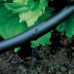 drip watering tubing