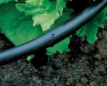 drip watering tubing