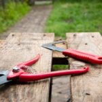 garden pruning tools