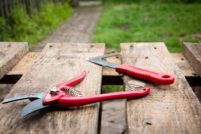garden pruning tools