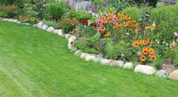 prepare-lawn-summer