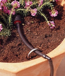 drip system sprinkler