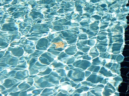 clear swimming pool water