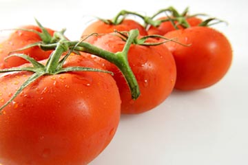 vegetable-gardening-tomatoes