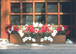 cedar window box with red and white flowers sitting on window sill