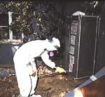 asbestos abatement pro