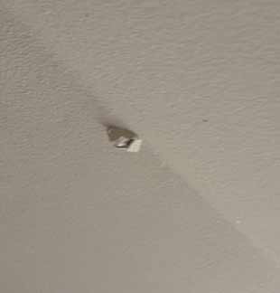 Popped drywall nut pushing through the surface paper of a wall. 