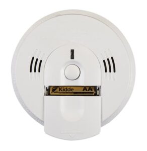 dual smoke carbon detector