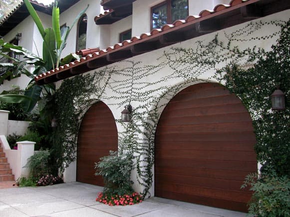 growing vines stucco