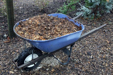 Amending the soil is key to successful vegetable gardening.