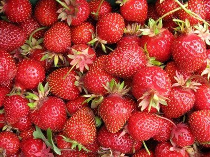 how to grow strawberries