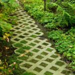 garden paving blocks with plants