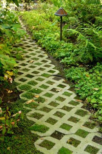 Living garden path is made from concrete pavers designed for planting.