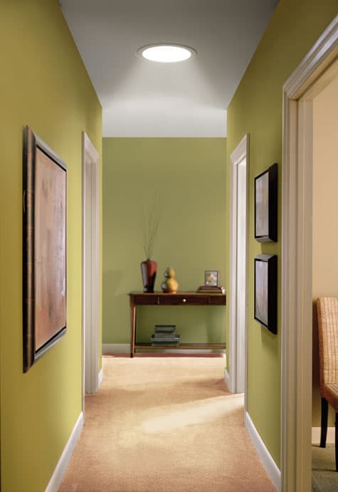 Electric security lights Electric security lights