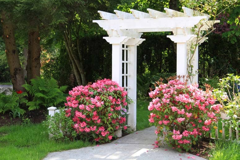 white garden arbor