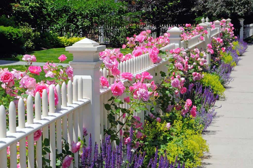 round picket fence with flowers