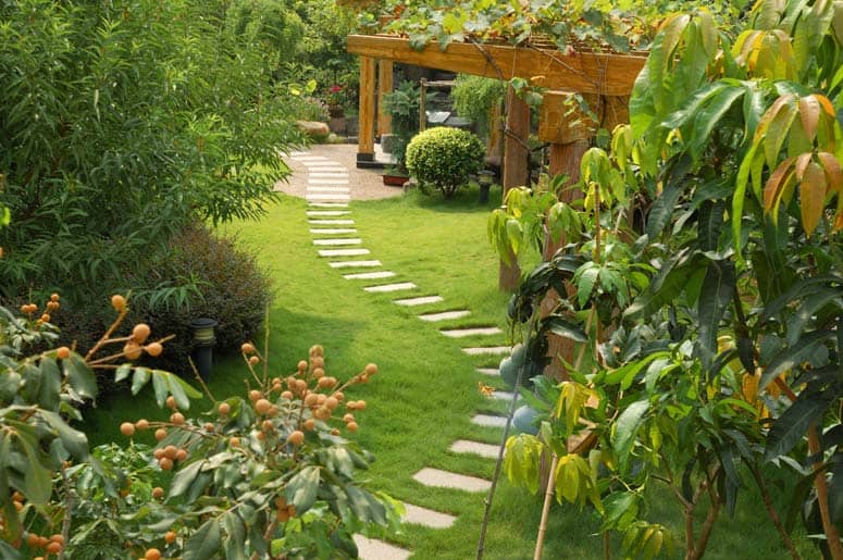 green lawn with stepping stones garden path